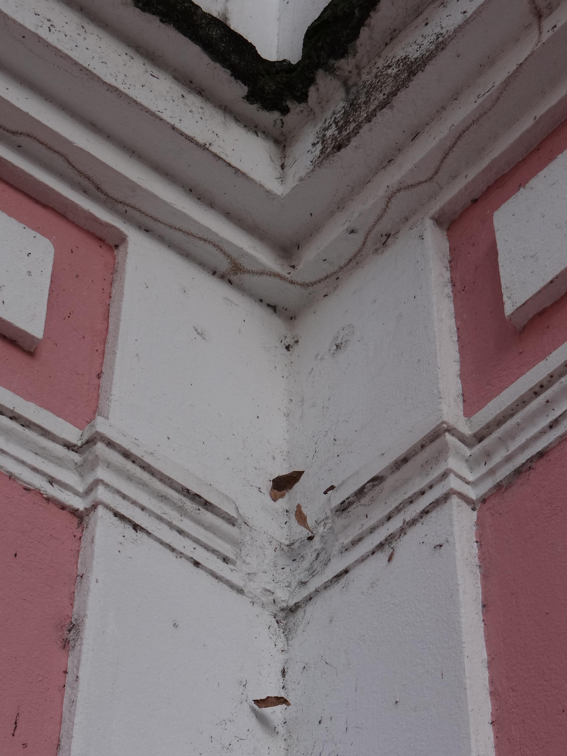 Casa en la Calle Cuevillas 607 - San Juan (Miramar) - 2014 00022